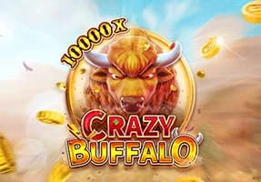 Crazy Buffalo